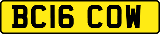 BC16COW