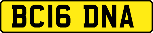 BC16DNA