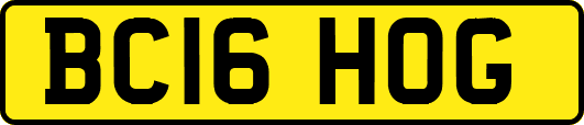 BC16HOG