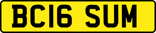 BC16SUM