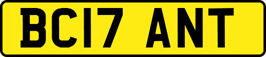BC17ANT