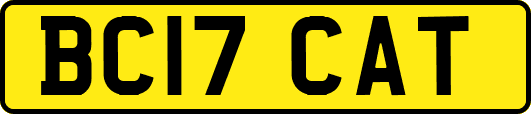 BC17CAT