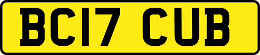 BC17CUB