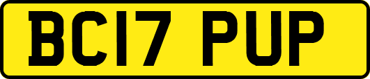 BC17PUP