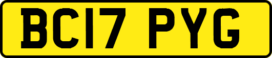 BC17PYG