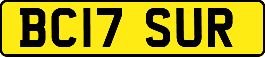 BC17SUR