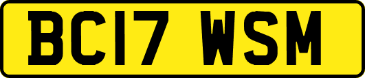 BC17WSM
