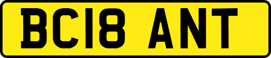 BC18ANT