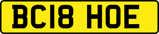 BC18HOE