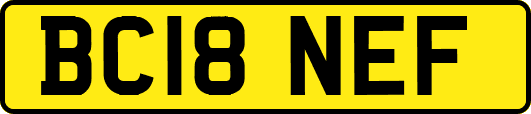 BC18NEF