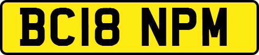 BC18NPM