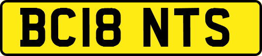 BC18NTS