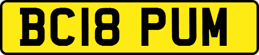 BC18PUM