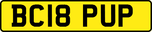 BC18PUP