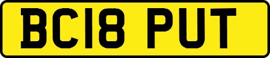 BC18PUT