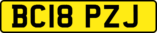 BC18PZJ