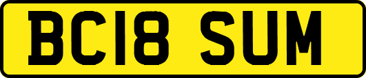 BC18SUM