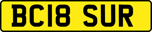 BC18SUR