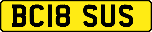 BC18SUS