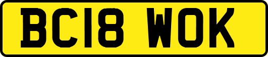 BC18WOK