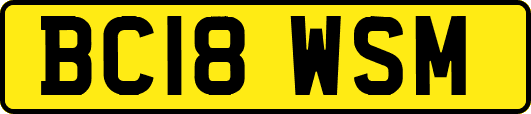 BC18WSM
