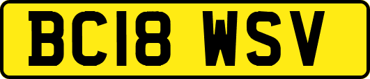 BC18WSV