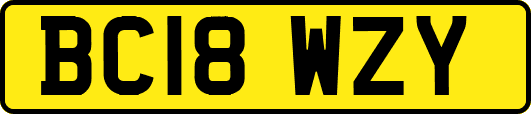 BC18WZY
