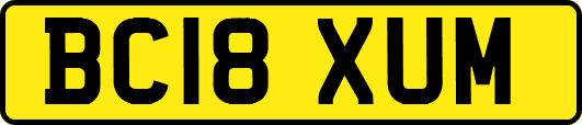 BC18XUM