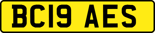 BC19AES