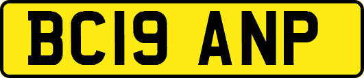BC19ANP