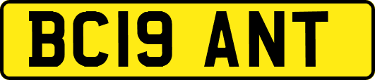 BC19ANT