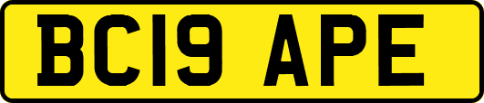 BC19APE
