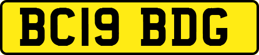 BC19BDG