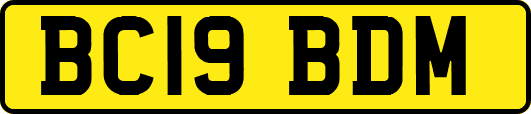 BC19BDM
