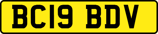 BC19BDV