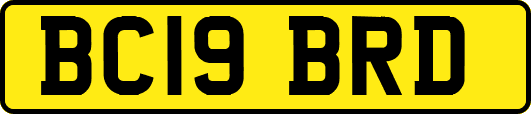 BC19BRD
