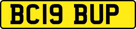 BC19BUP