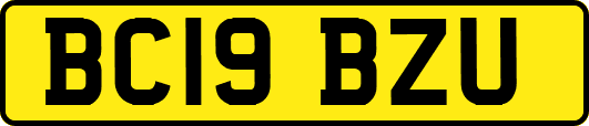 BC19BZU