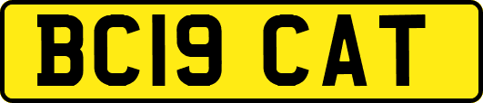 BC19CAT