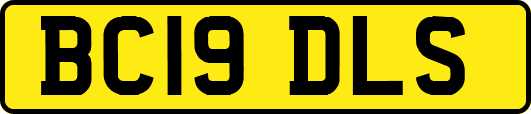 BC19DLS