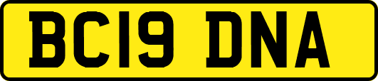 BC19DNA