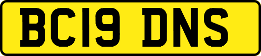 BC19DNS