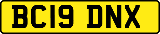 BC19DNX