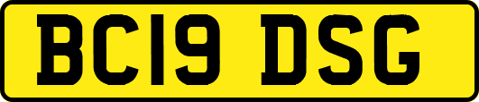 BC19DSG