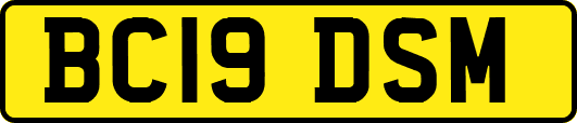 BC19DSM