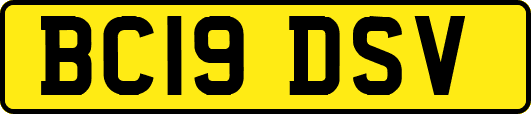 BC19DSV