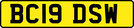 BC19DSW