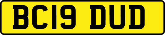 BC19DUD