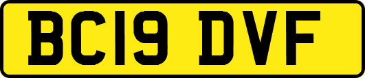 BC19DVF