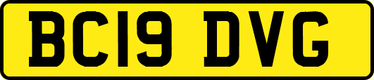 BC19DVG
